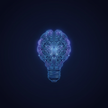Digital Consulting & Advice